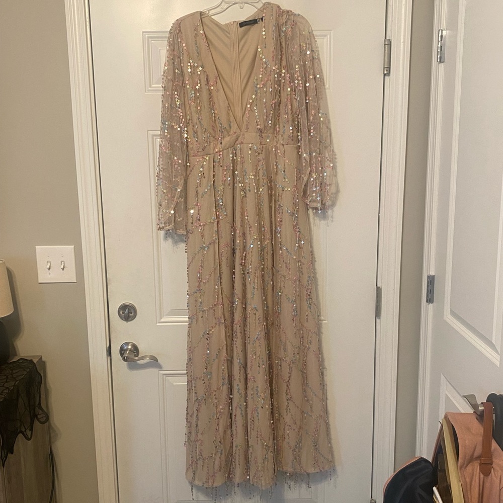 Embellished Nude Maxi Dress with Sheer Sleeves